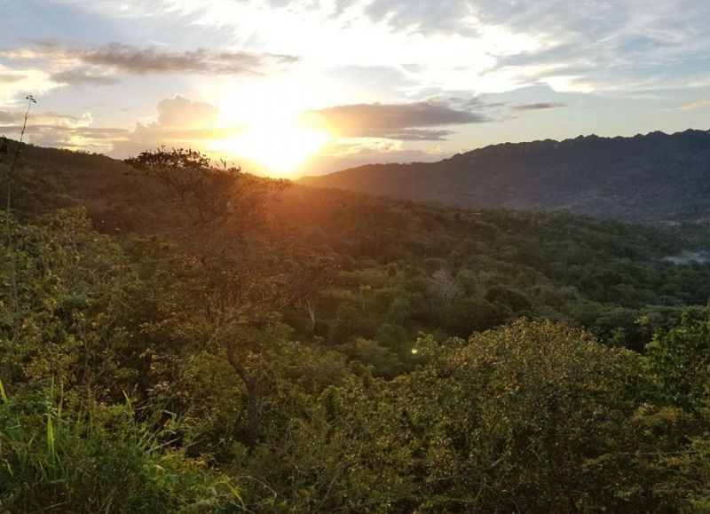 Bringing the Rain to the DR